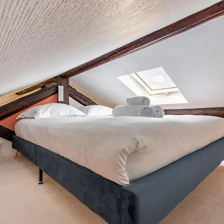 Apartment Le Cosy De Catherine - Duplex Pour Deux Personnes Nancy